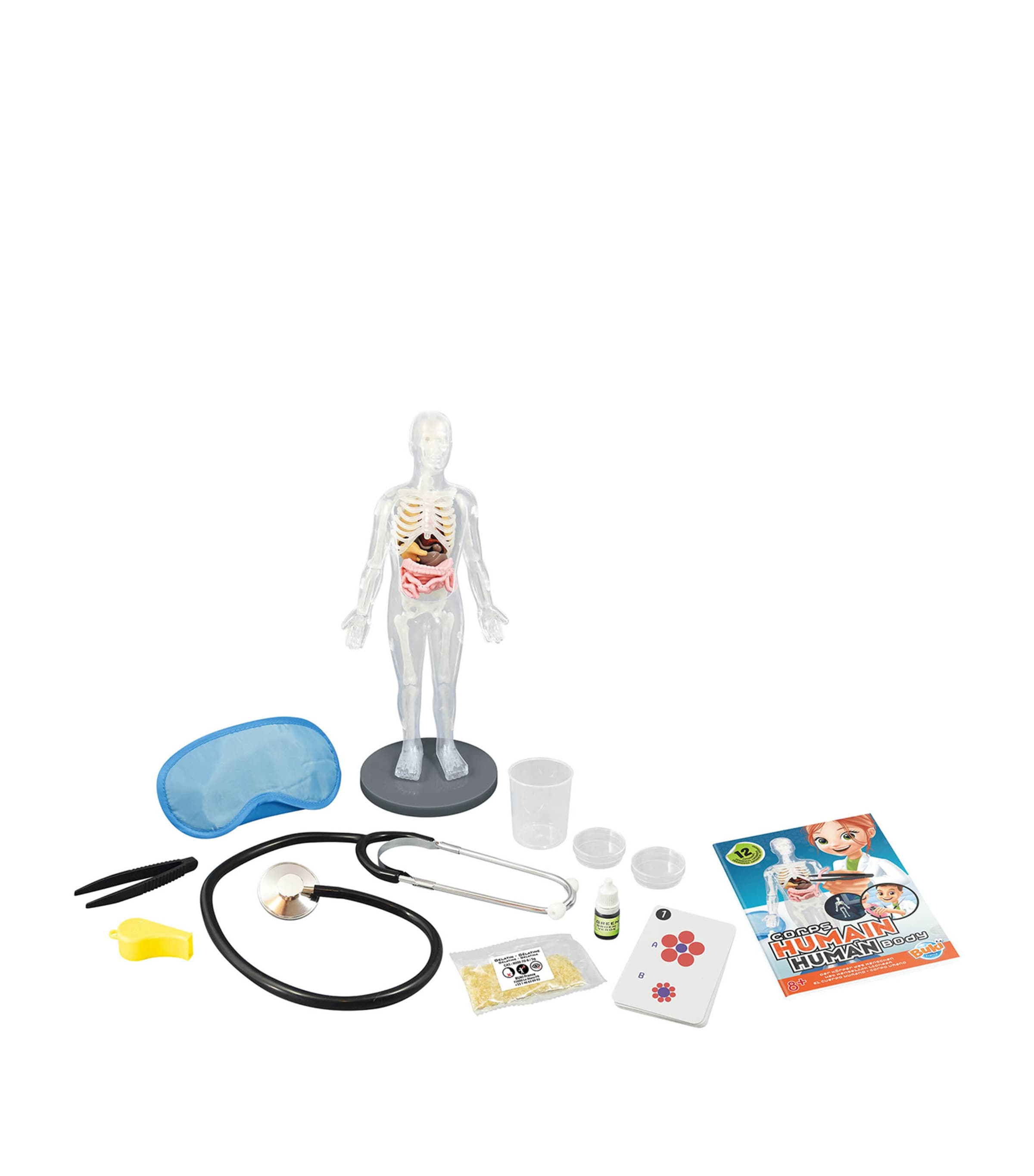 Human Body Toy MULTI Image 2