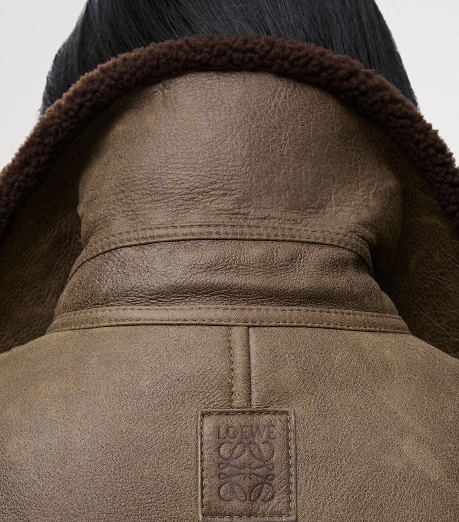 Lambskin Shearling-Collar Aviator Jacket SAGE Image 5
