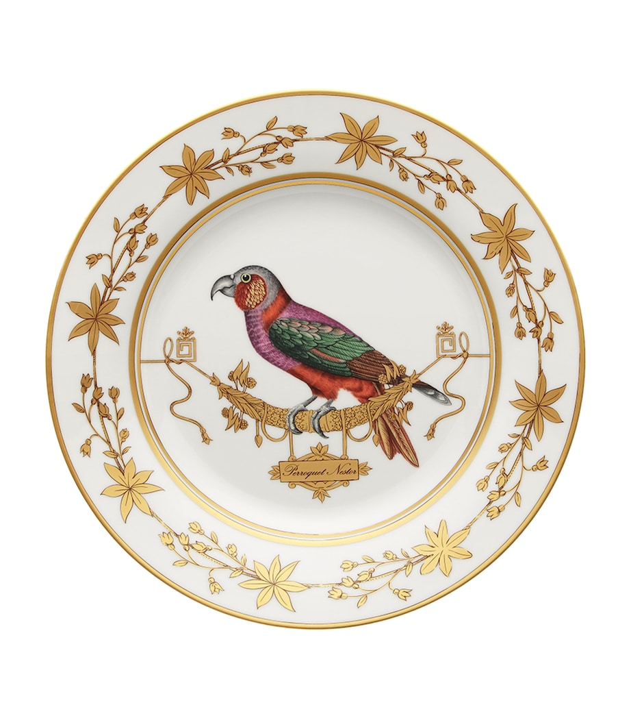 GINORI 1735 Volière Perroquet Nestor Dinner Plate (26.5cm) Image 1