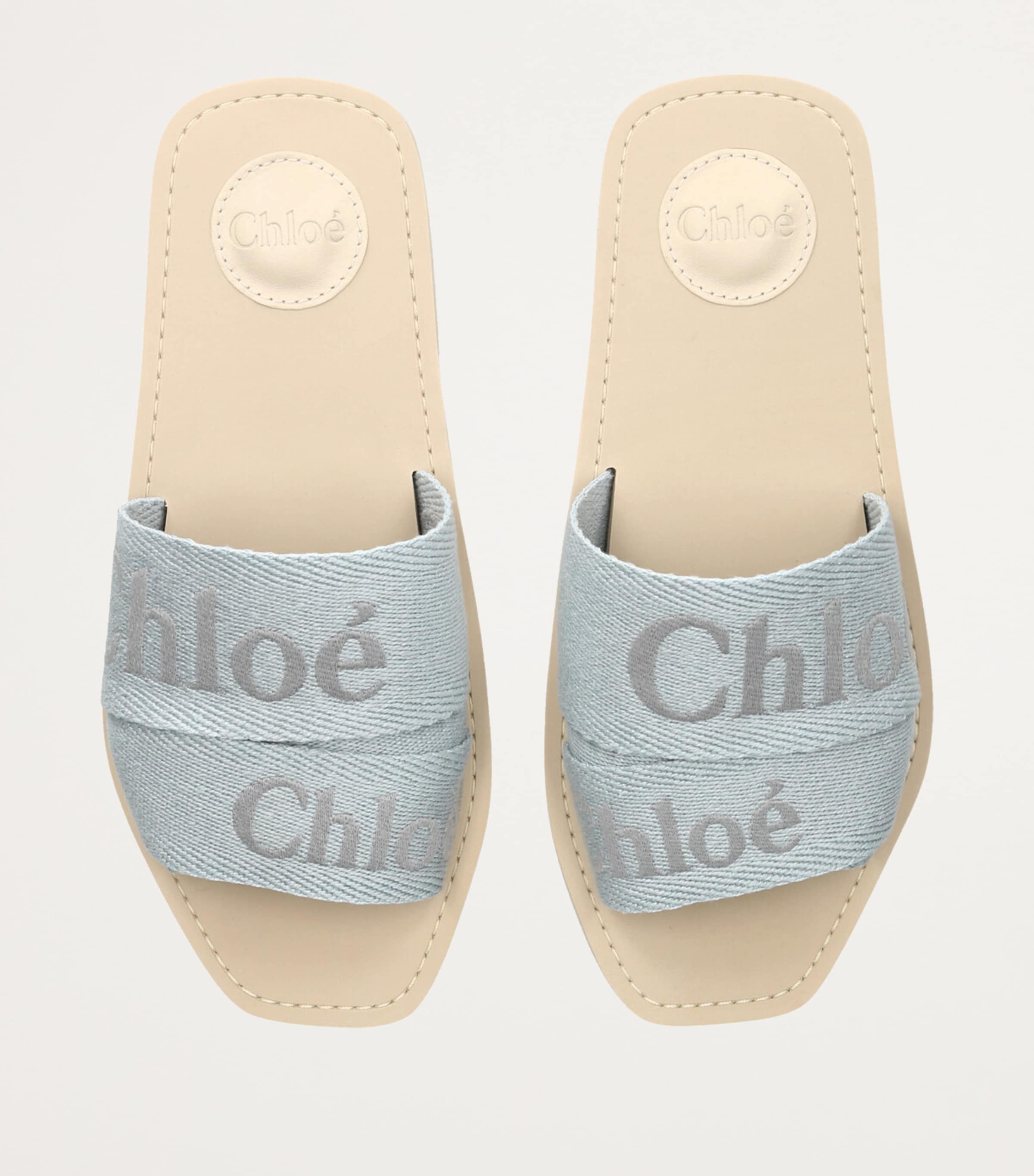 Logo Woody Slides BLUE Image 6