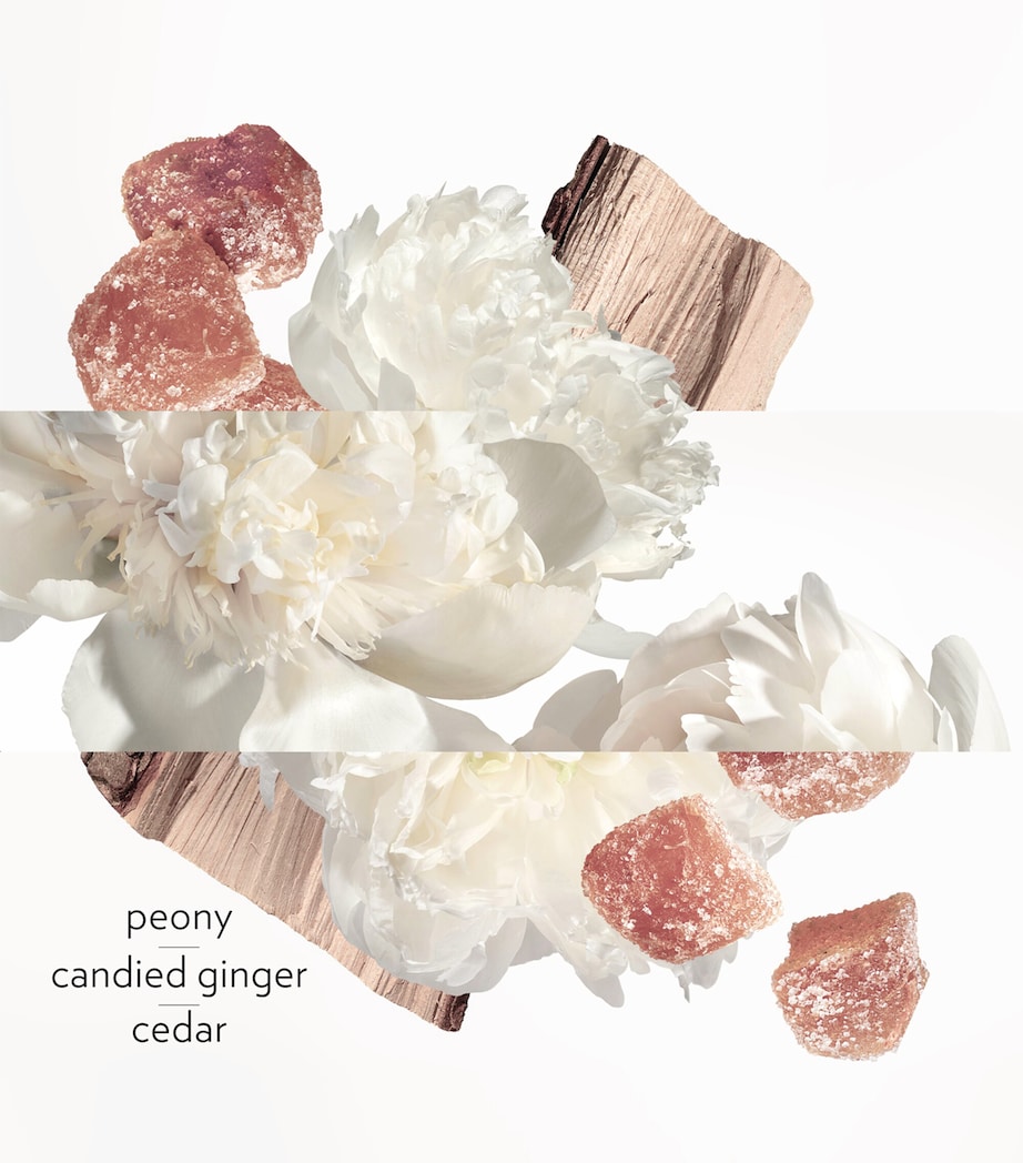 Twilly D'Hermès Ginger Eau de Parfum (50Ml) NO COLOUR Image 4