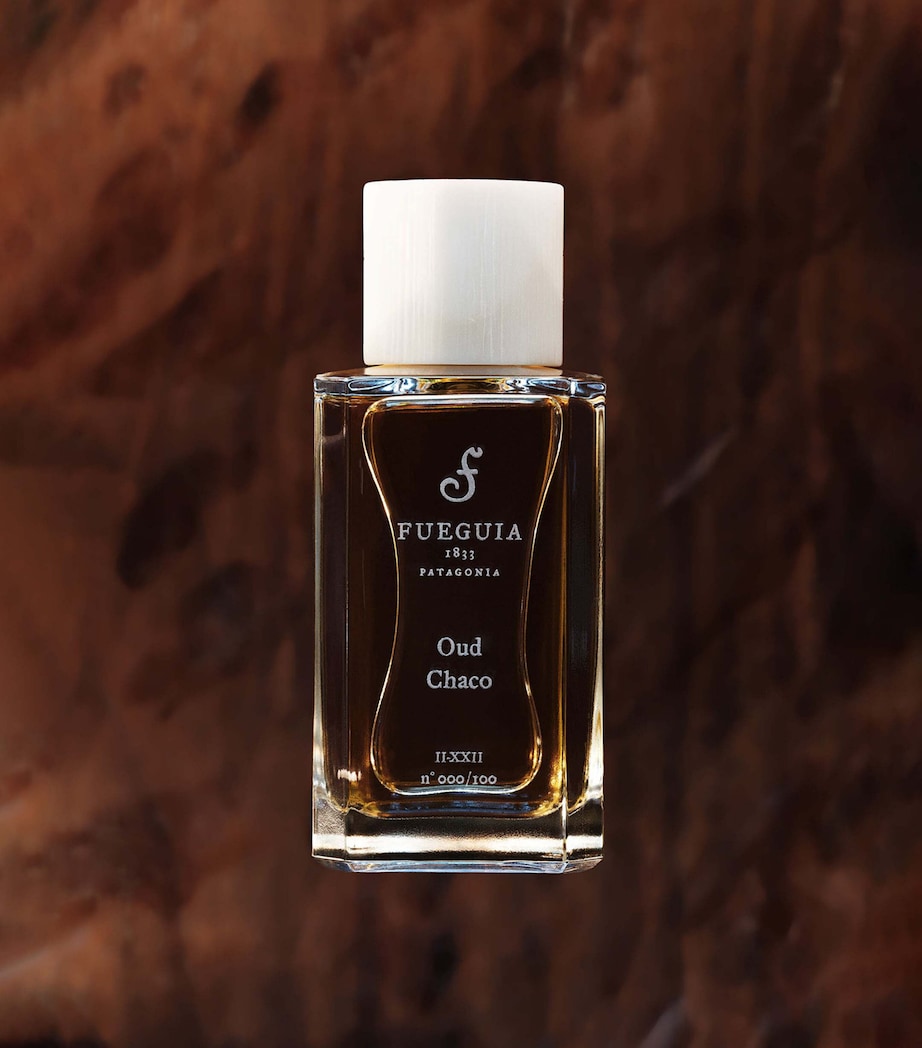 Fueguia 1833 Oud Chaco Perfume (100ml) Image 2