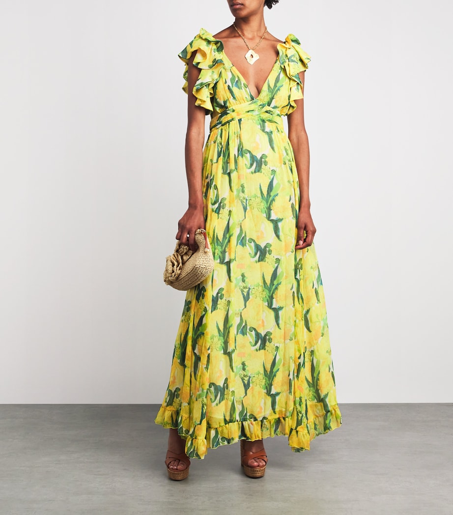 Silk Penelope Maxi Dress YE02 ZESTY Image 2