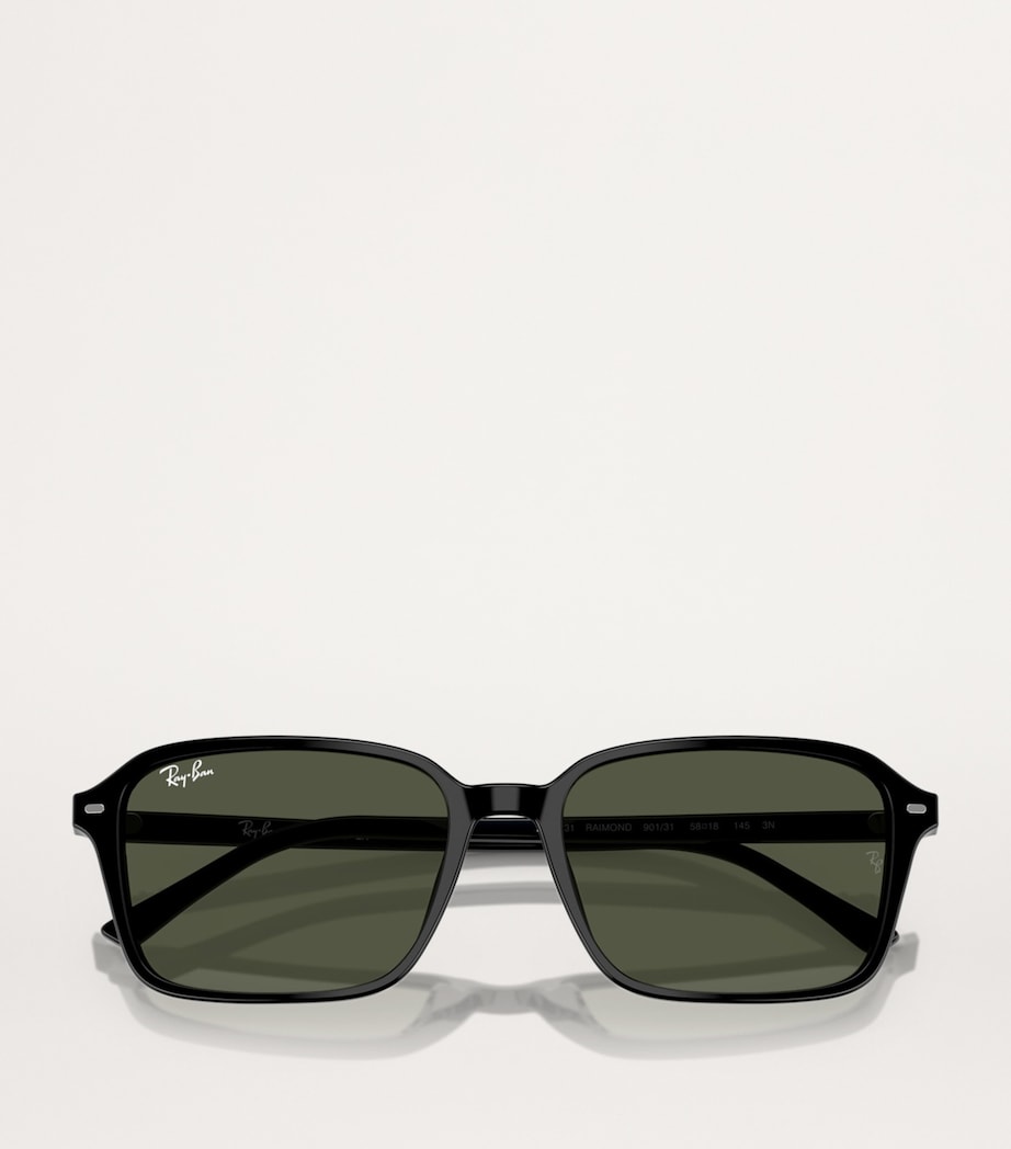 RB2231 Raimond Sunglasses 901/31 Image 5