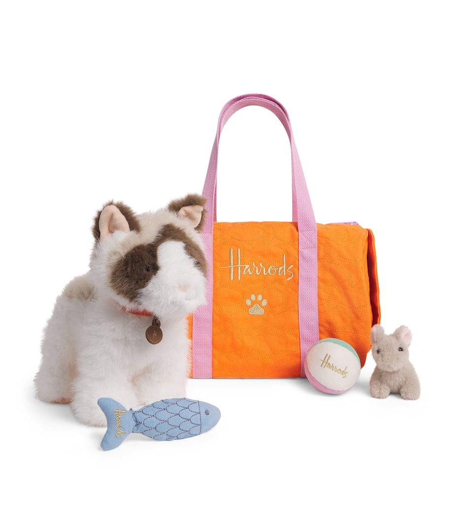 Cat In A Bag Toy Set (35cm) MULTI Image 1