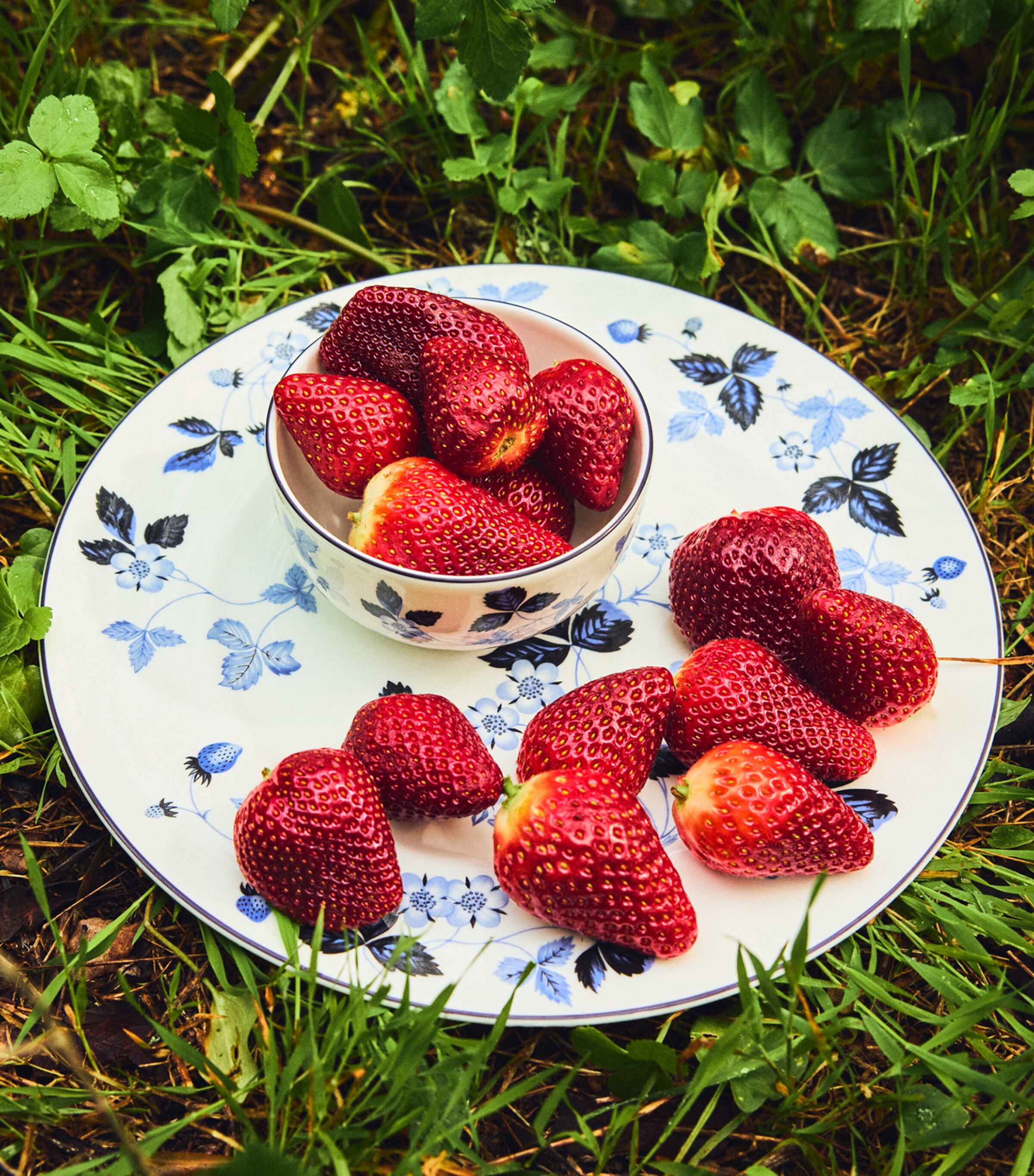 Wild Strawberry Inky Blue Dinner Plate (27cm) MULTI Image 6