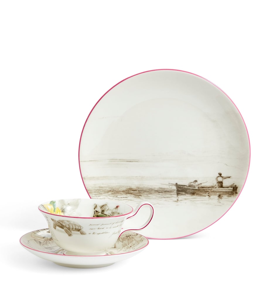 Voyage of the Beagle Galapagos Islands Plate, Teacup and Saucer Set MULTI Image 7