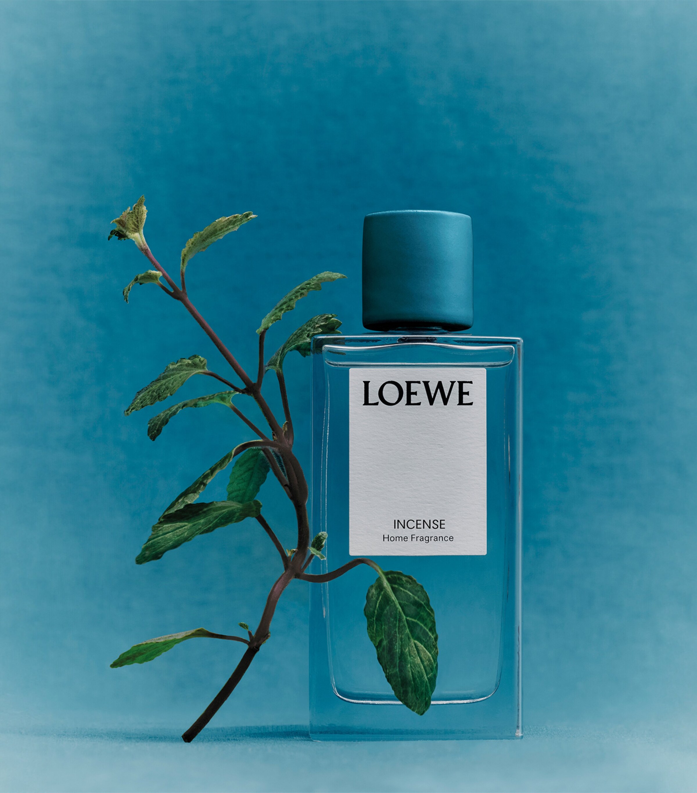 LOEWE Incense Room Spray (100ml) Image 4