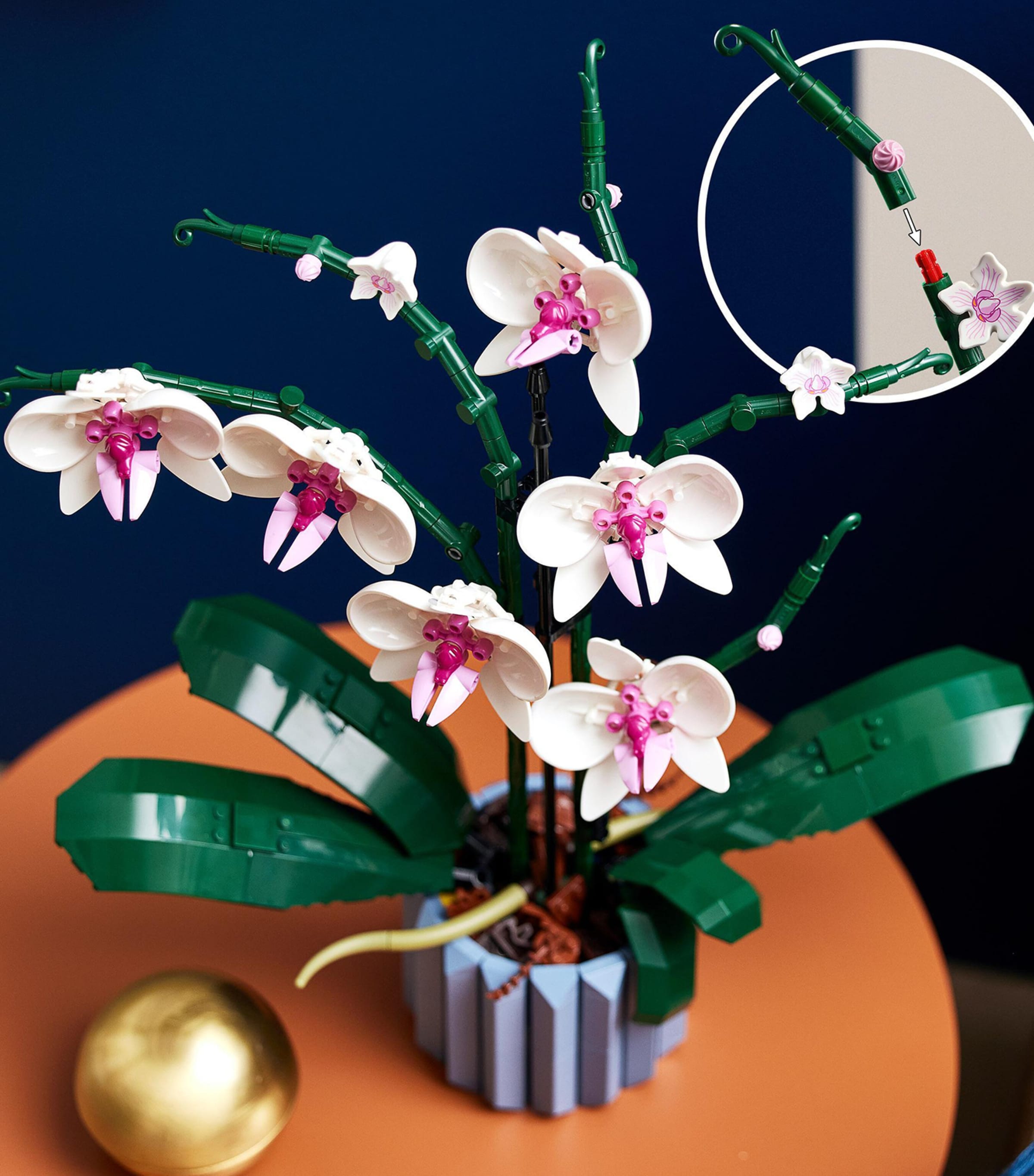 Lego Orchid Display 10311 | Gifts | Toys | Building & Construction Toys | Designers | Lego Lego Orchid Display 10311 | Gifts | Toys | Building & Construction Toys | Designers | Lego