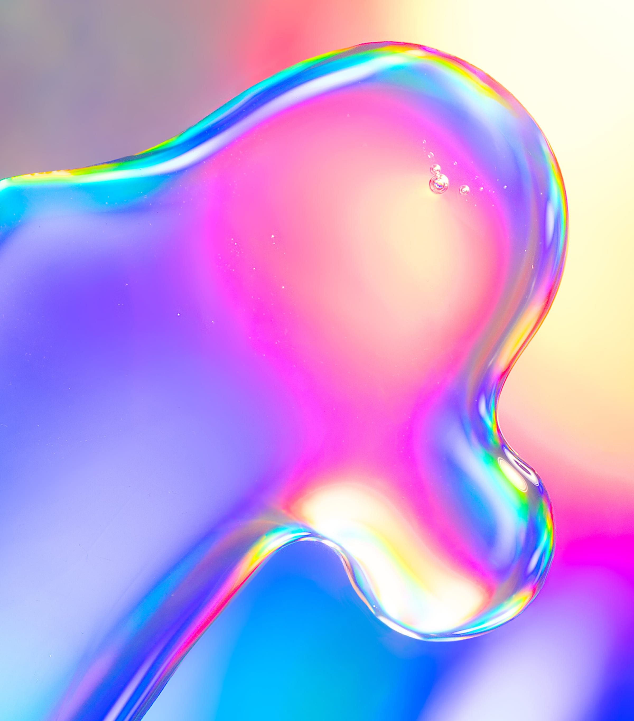 Palm Wild Hand Wash (300ml) NO COLOUR Image 5