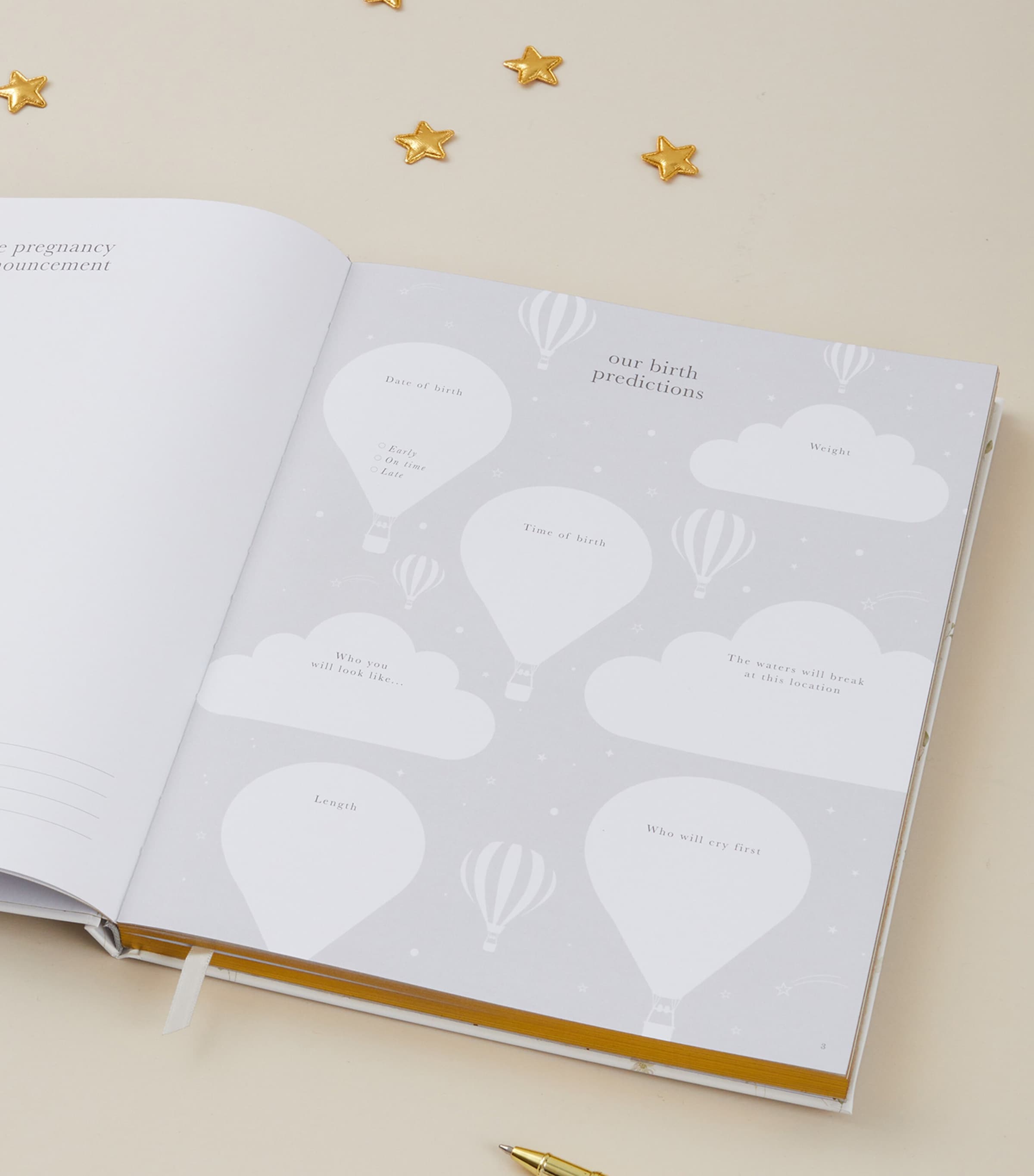 My Pregnancy Journal FLORAL, GOLD Image 8