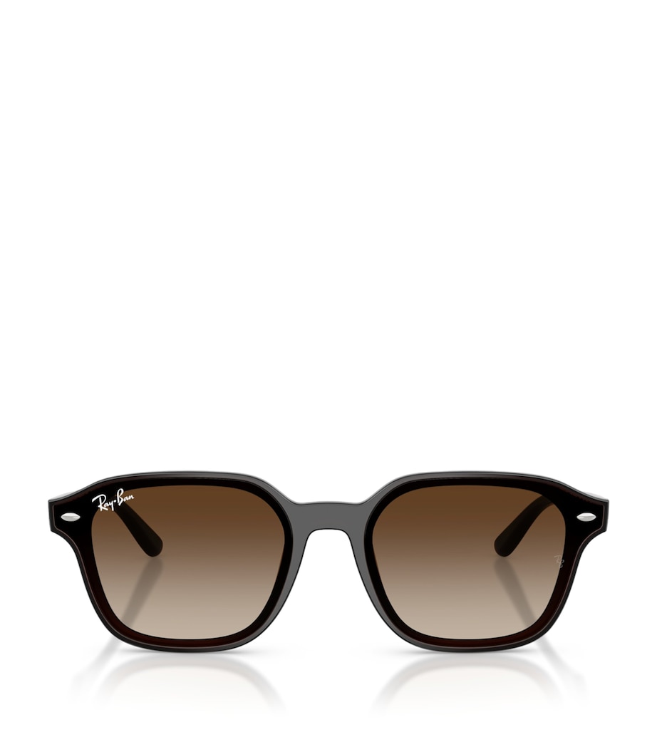 RB4458D Square Sunglasses 714/13 Image 1