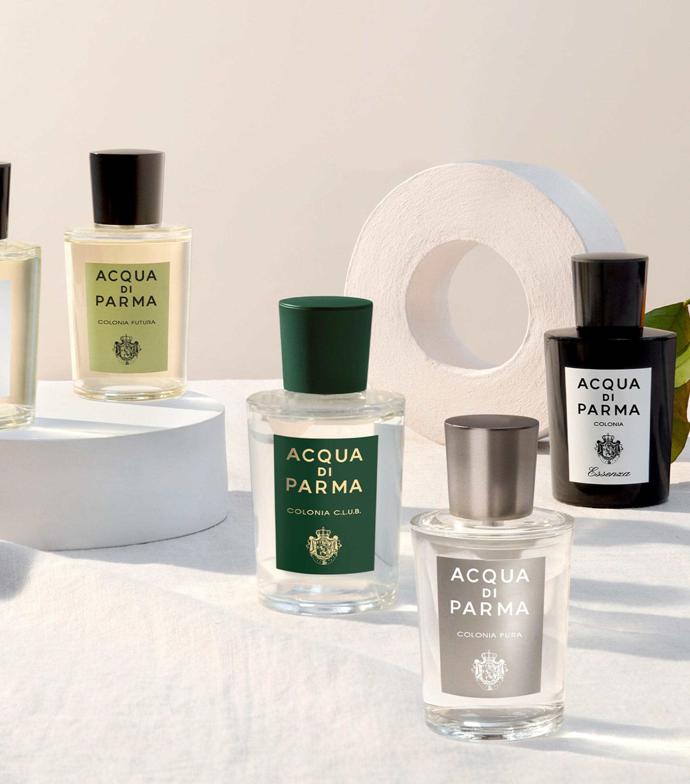 Colonia Eau de Cologne (50ml) NO COLOUR Image 8