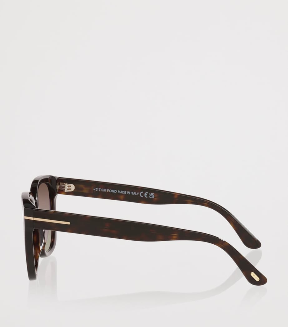TOM FORD Haylay Square Sunglasses Brown Image 2
