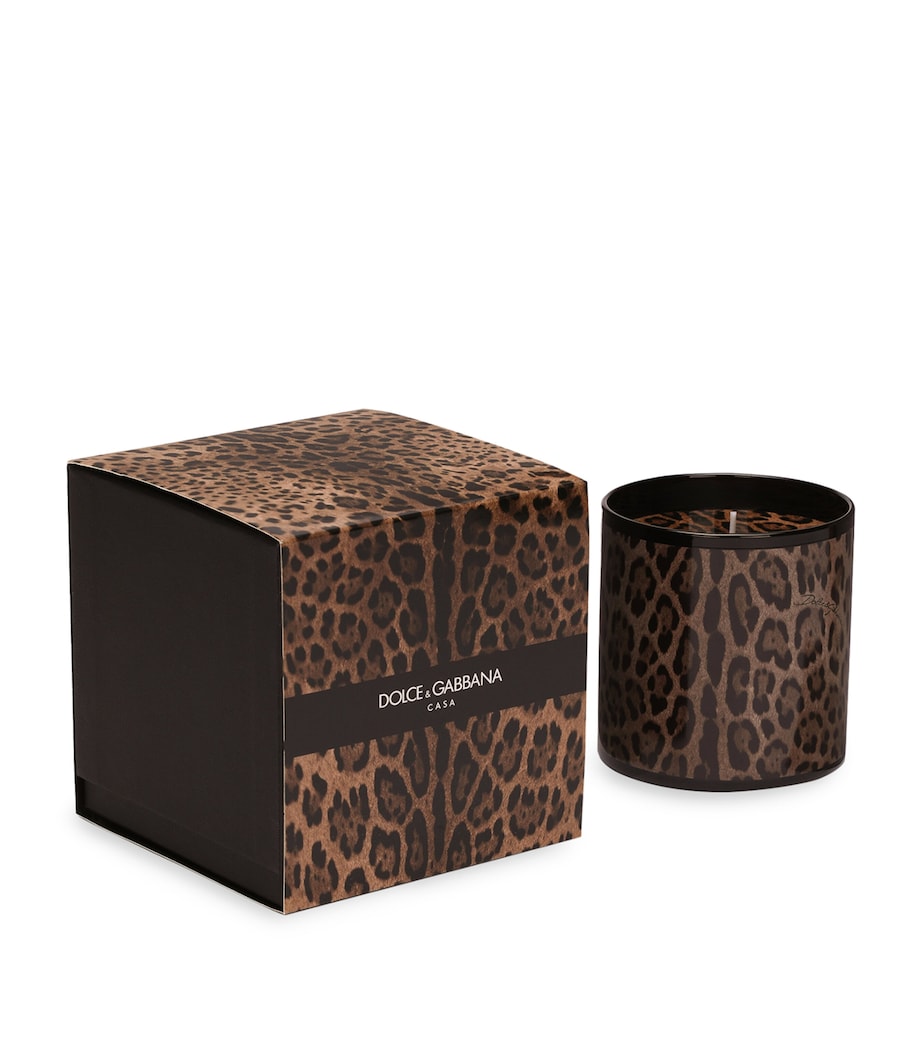 Dolce&Gabbana Casa Leopardo Patchouli Candle (380g) Patchouli Image 3