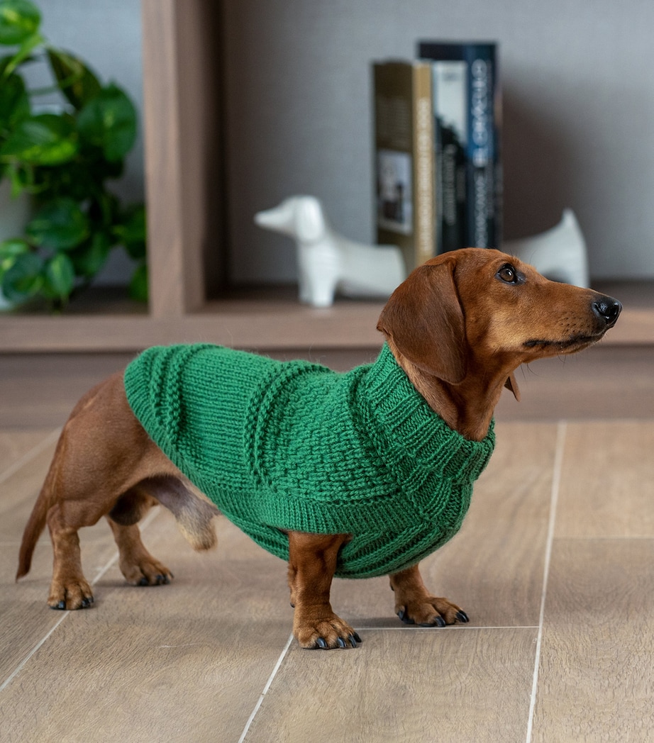 Alpaca-Blend Oscar Dog Sweater (Extra Extra Small) GREEN Image 2