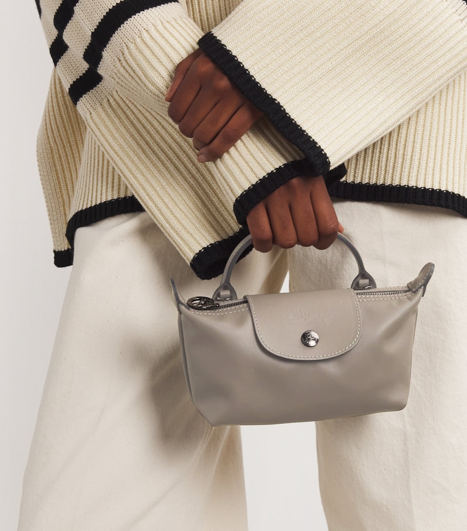 Extra-Small Leather Le Pliage Xtra Pouch P55 TURTLEDOVE Image 5