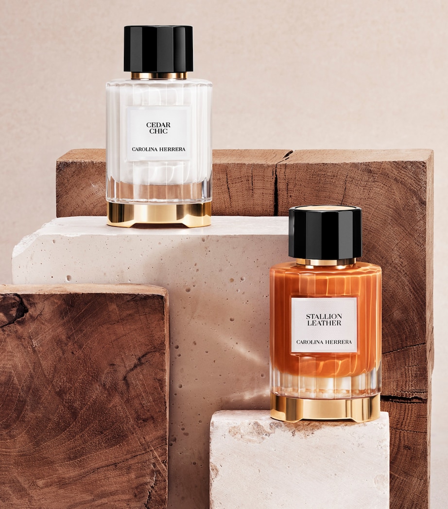 Stallion Leather Eau de Parfum (100ml) NO COLOUR Image 7