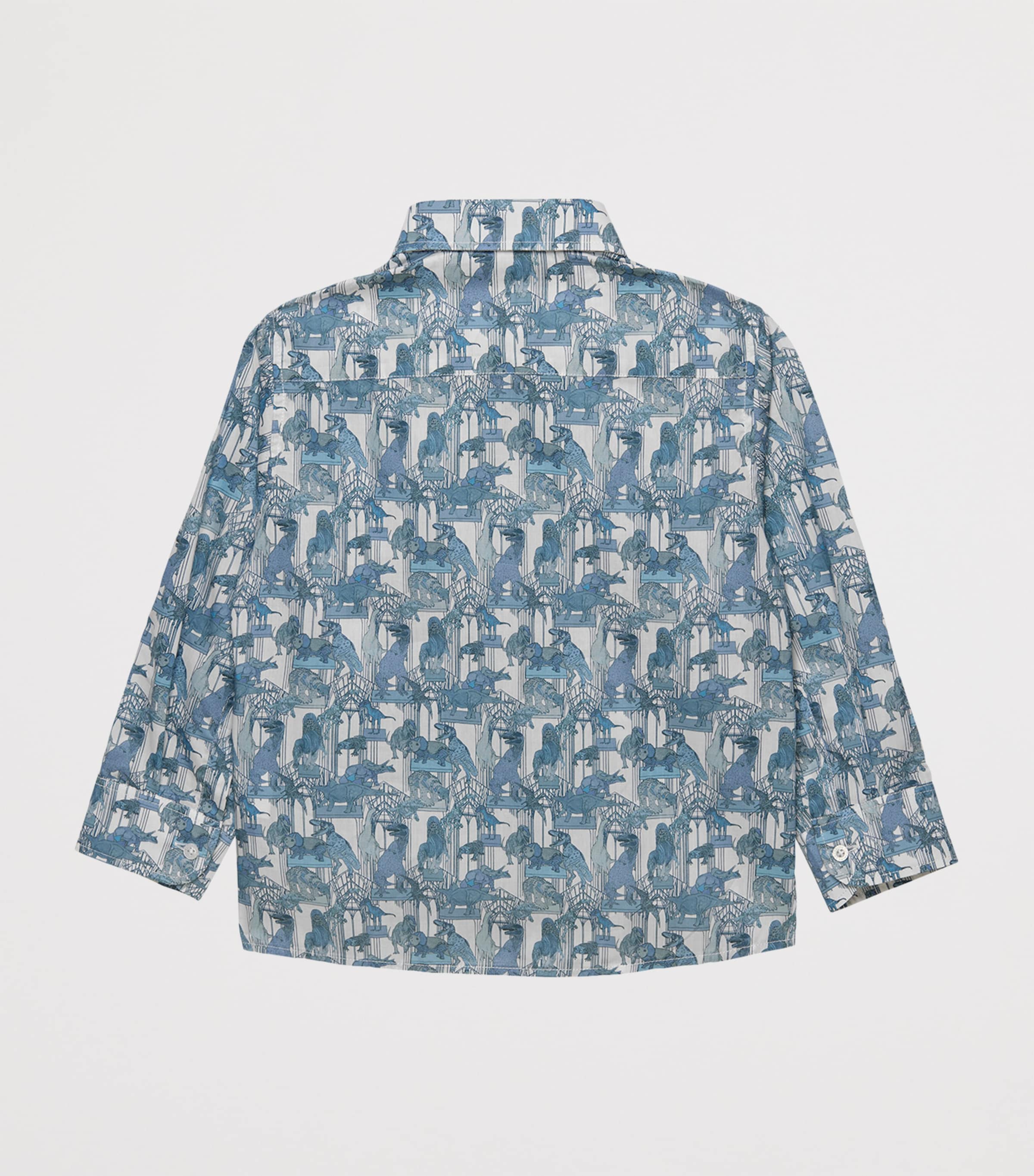 Cotton Dinosaur Shirt (6-11 Years) BLUE DINOSAUR Image 2