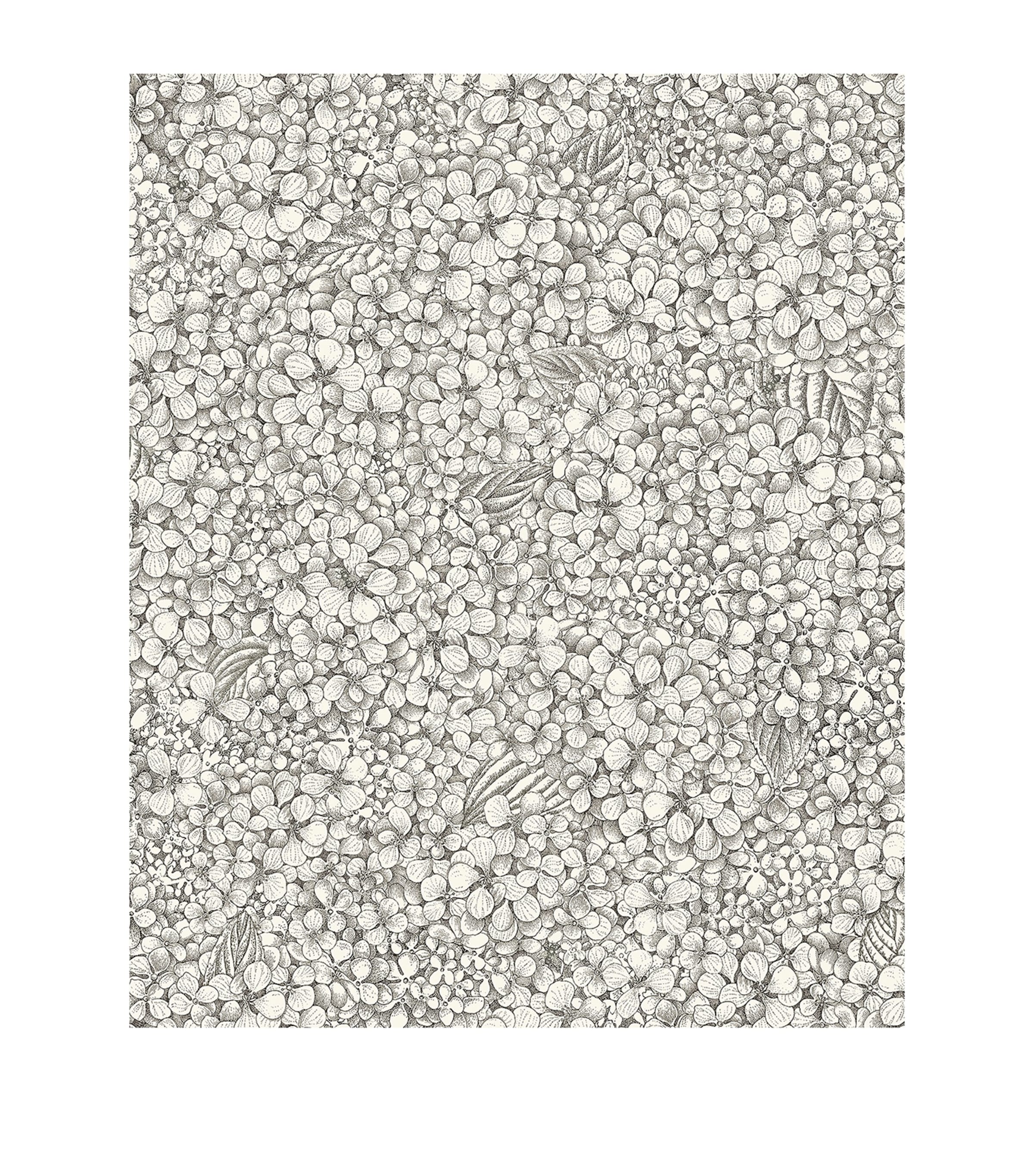 Cole & Son x Fornasetti Ortensia Wallpaper Roll Black & White Image 1