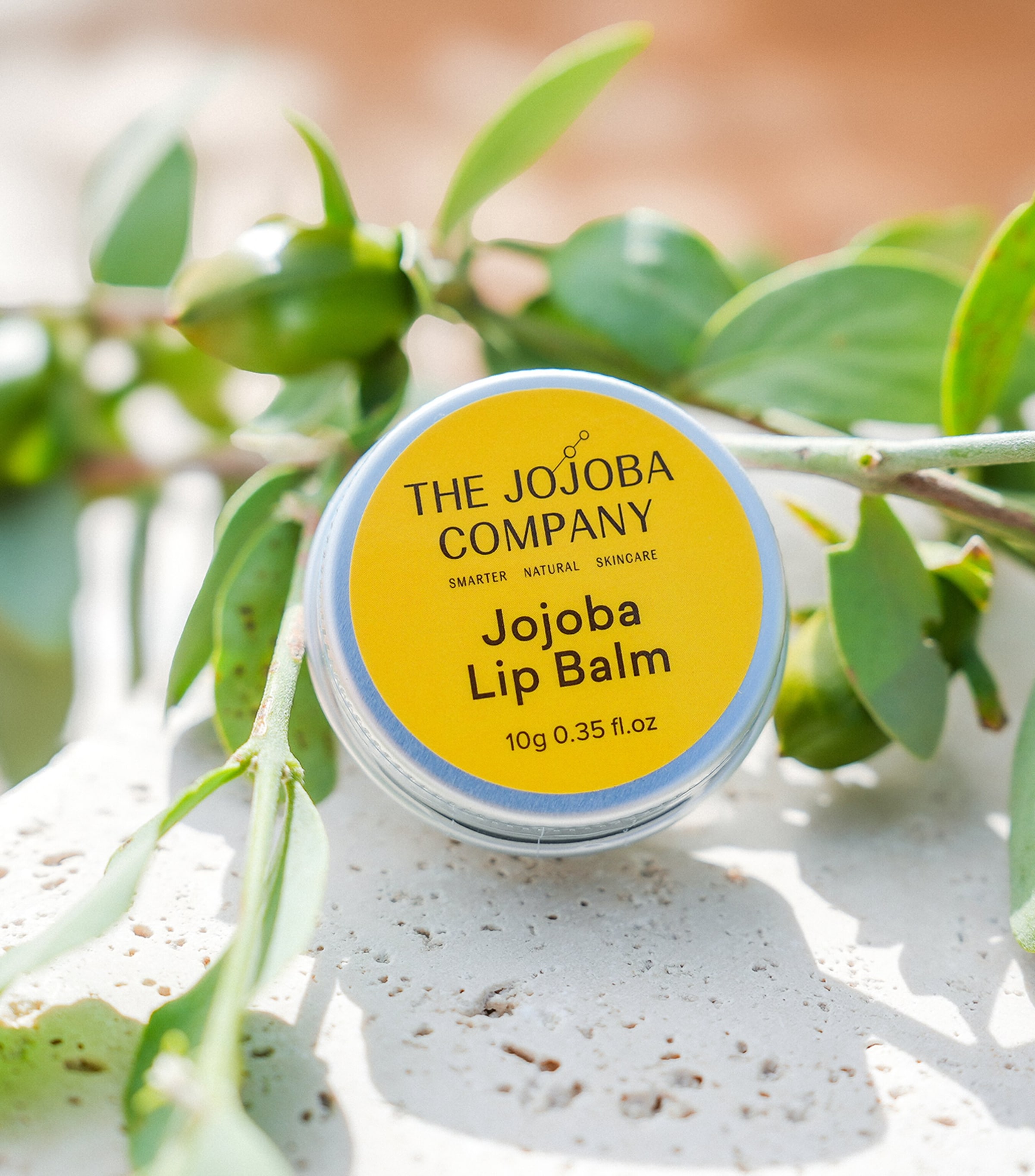 THE JOJOBA COMPANY Jojoba Lip Balm (10g) Image 2