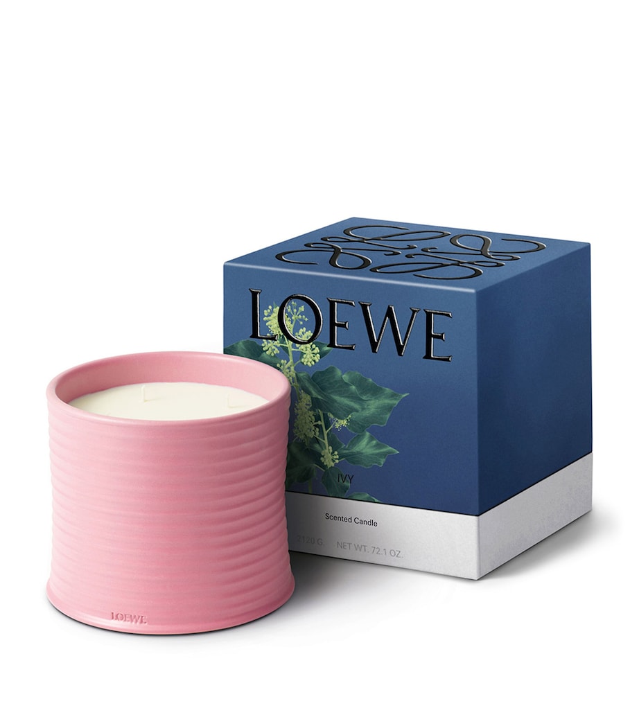 LOEWE Large Ivy Candle (2.12kg) Image 2