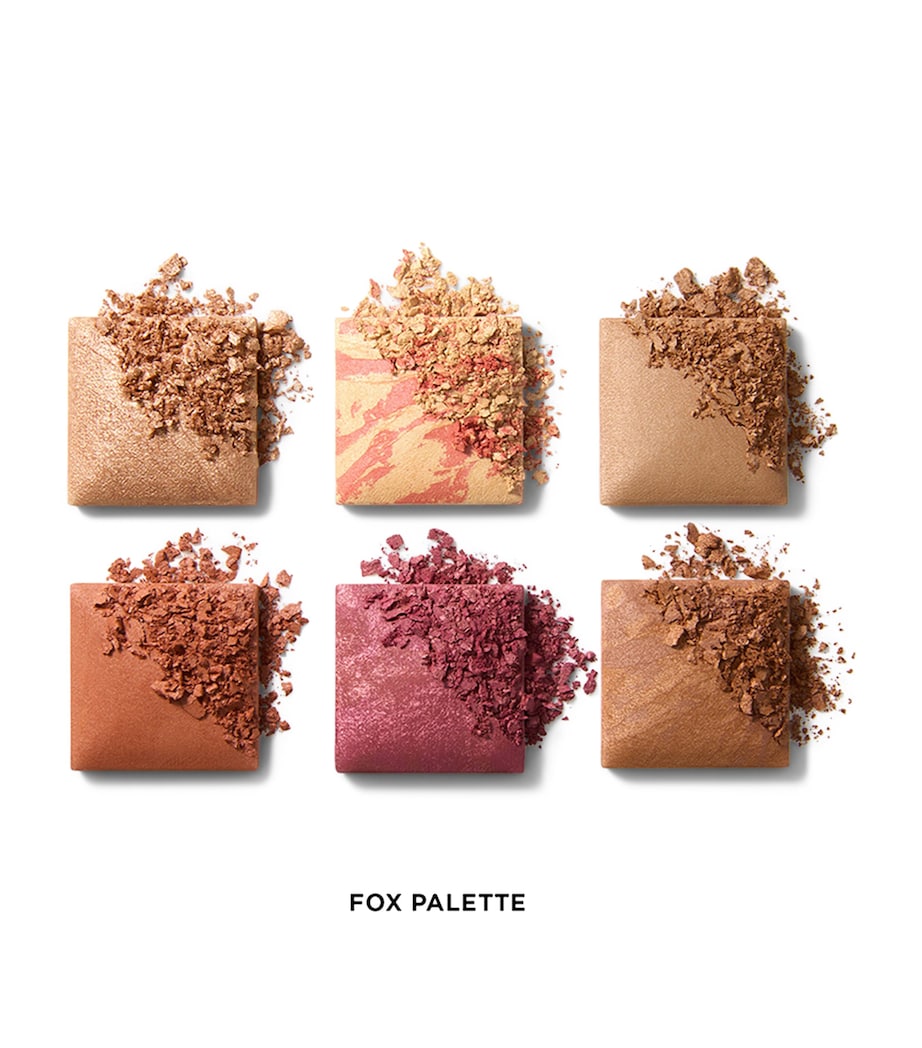 Ambient Lighting Edit Unlocked Palette FOX Image 2