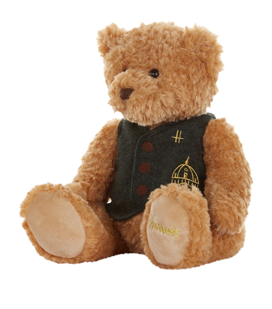 Leo Plush Bear (26cm) MULTI Image 2