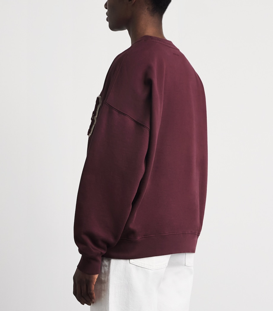 ANINE BING Womens Oversized Miles Letterman Sweatshirt Fig Image 5