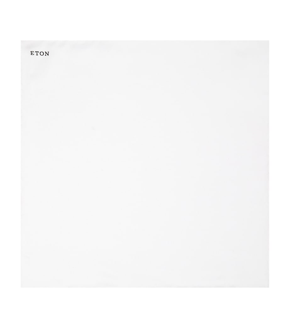 Silk Pocket Square 01-WHITE Image 1
