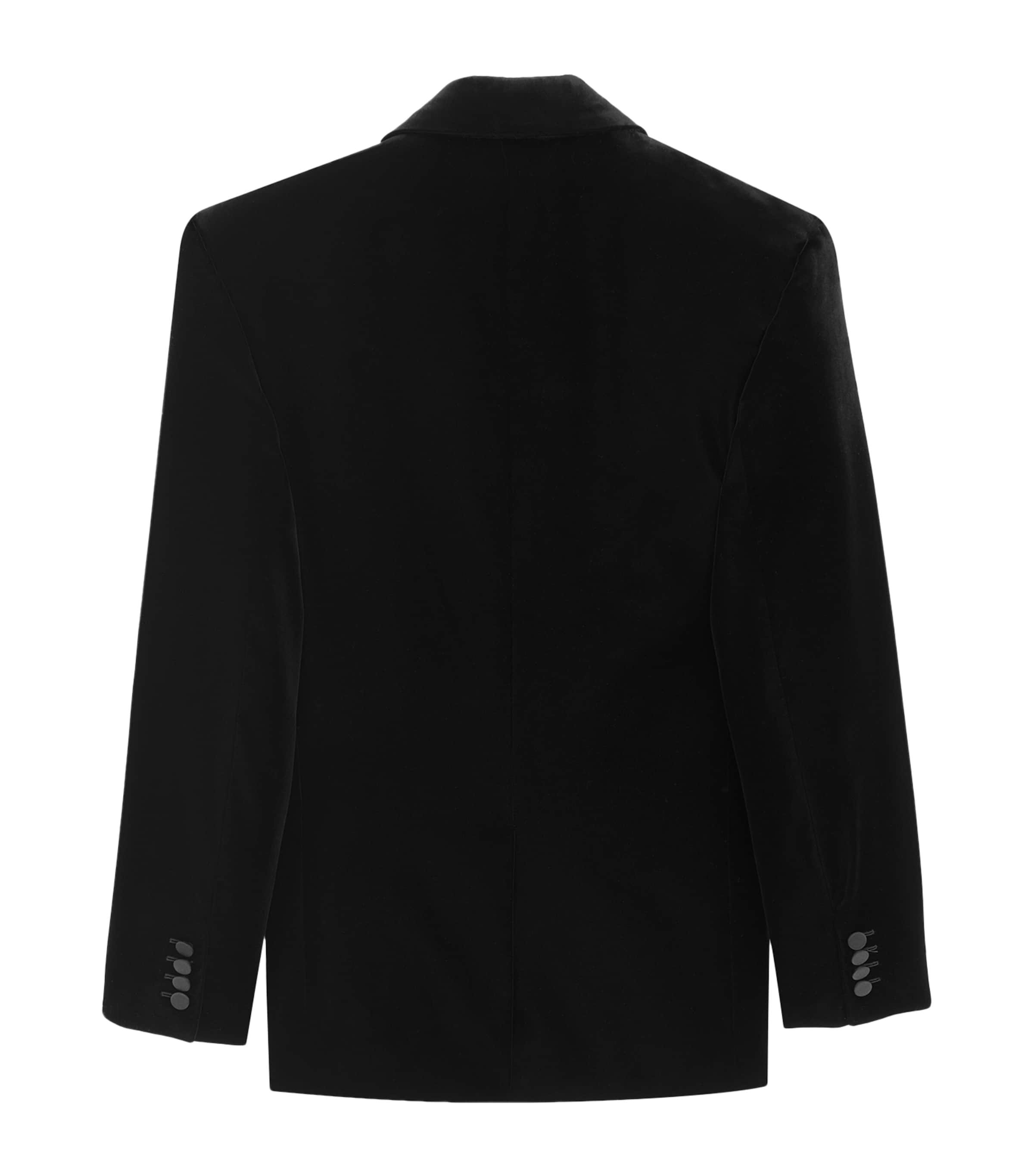 Velvet Double-Breasted Blazer 1000 Image 2