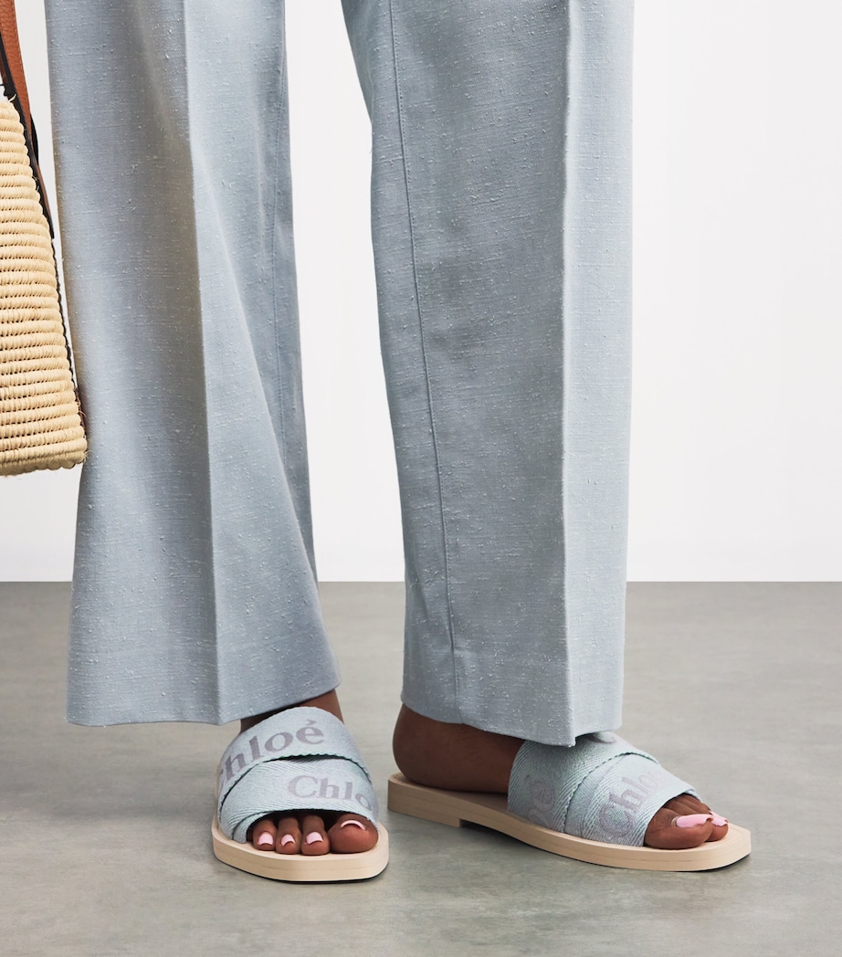 Logo Woody Slides BLUE Image 2