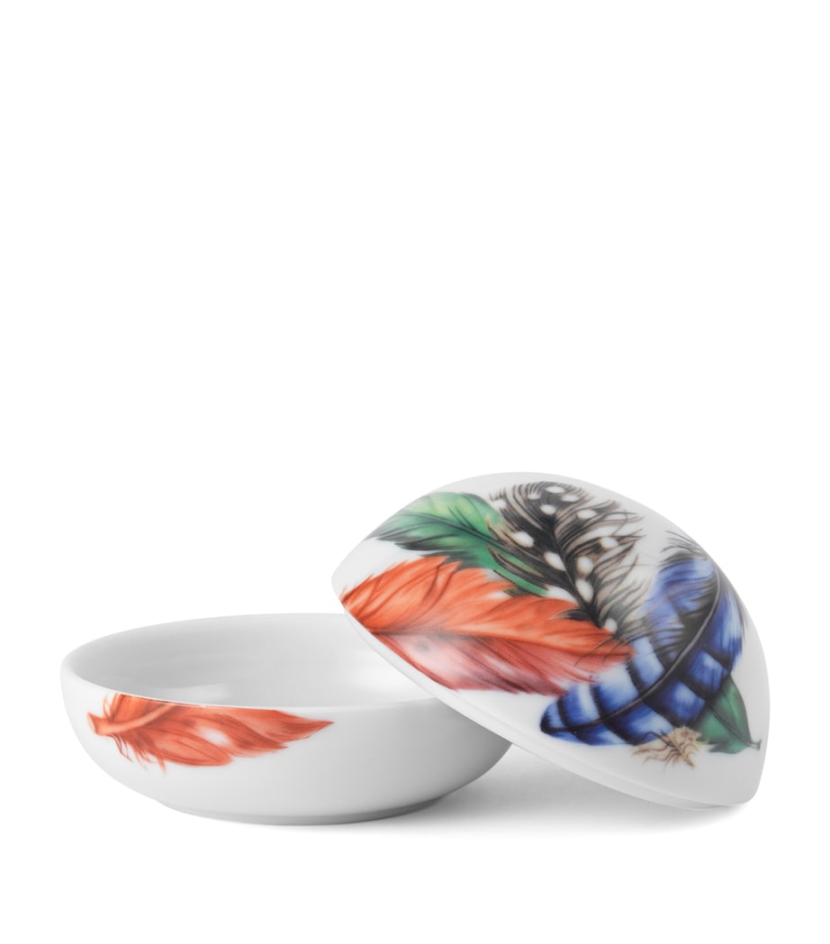 Feathers Bonbonniere 2025 MULTI Image 3