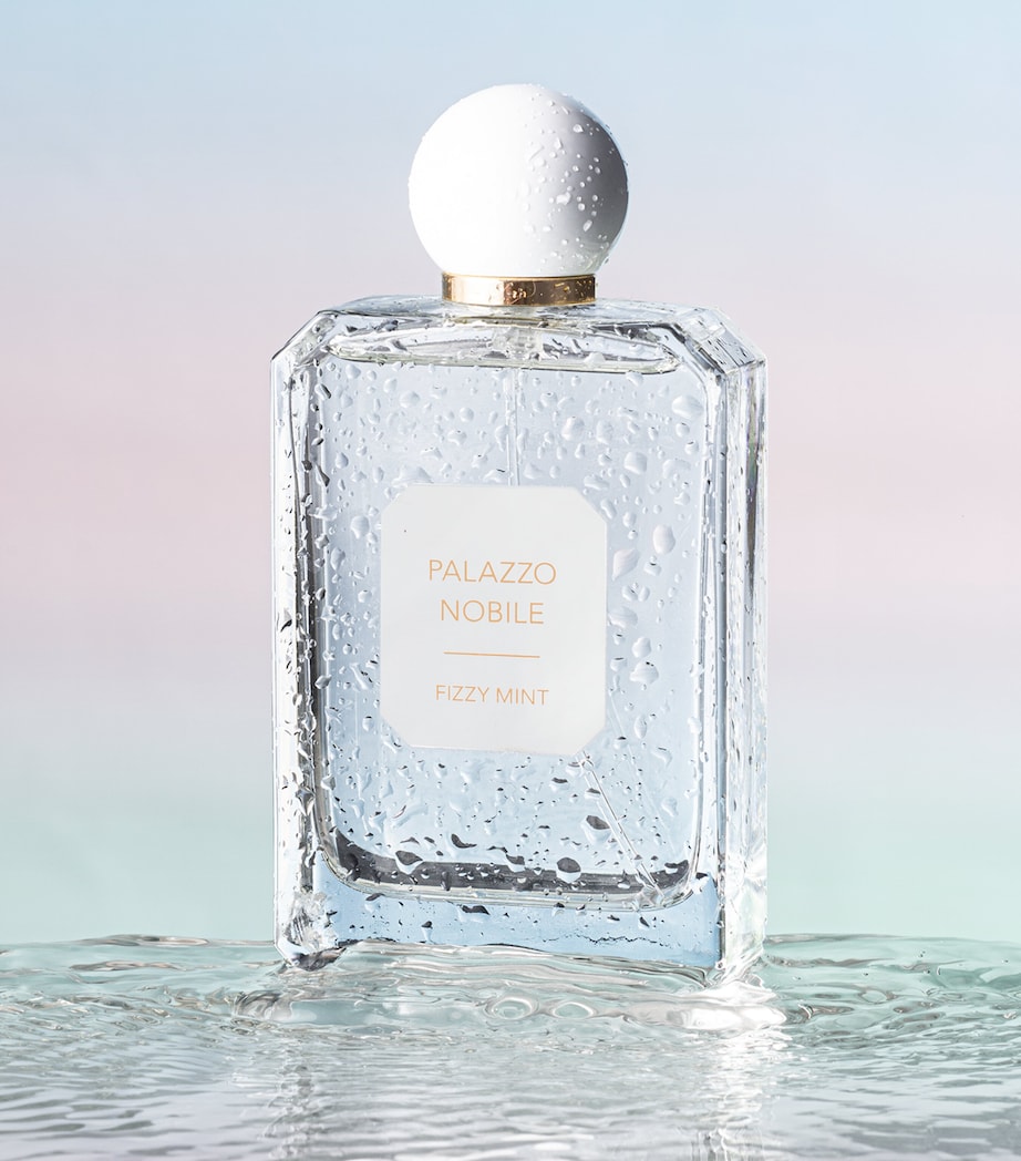 Fizzy Mint Eau de Toilette (100ml) NO COLOUR Image 3