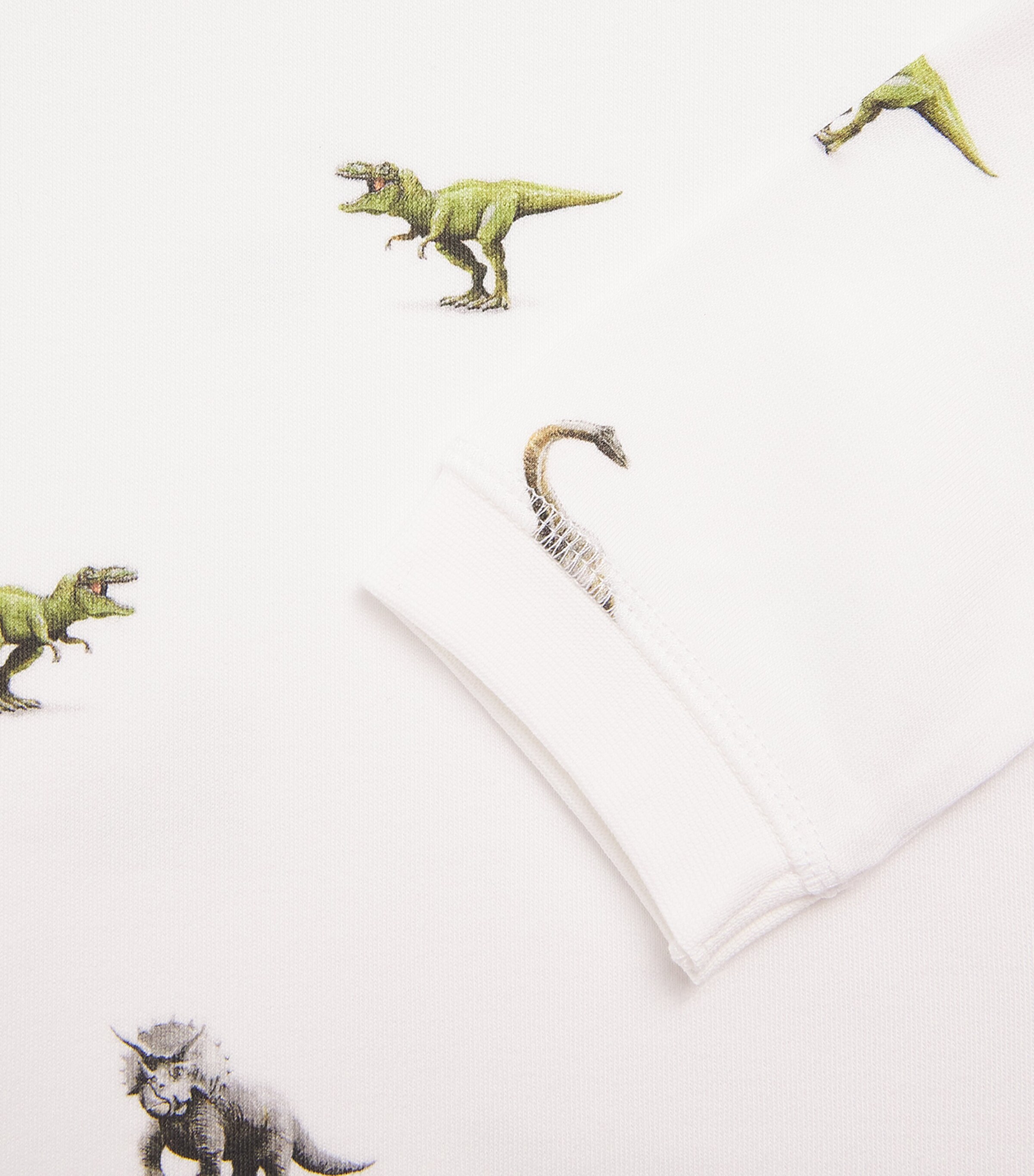 Rosa & Blue Dinosaur Pyjama Set (4-5 Years) Dinosaur Image 2