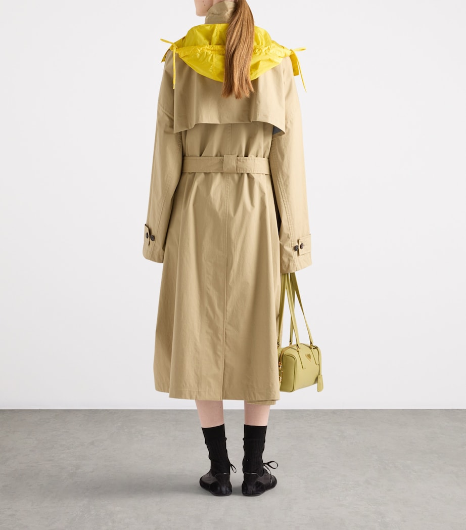 Cotton Belted Trench Coat F0241 Image 5