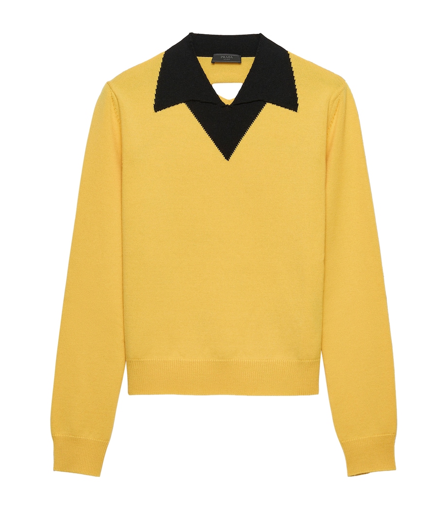 Wool Long-Sleeve Polo Shirt F0C5K Image 1