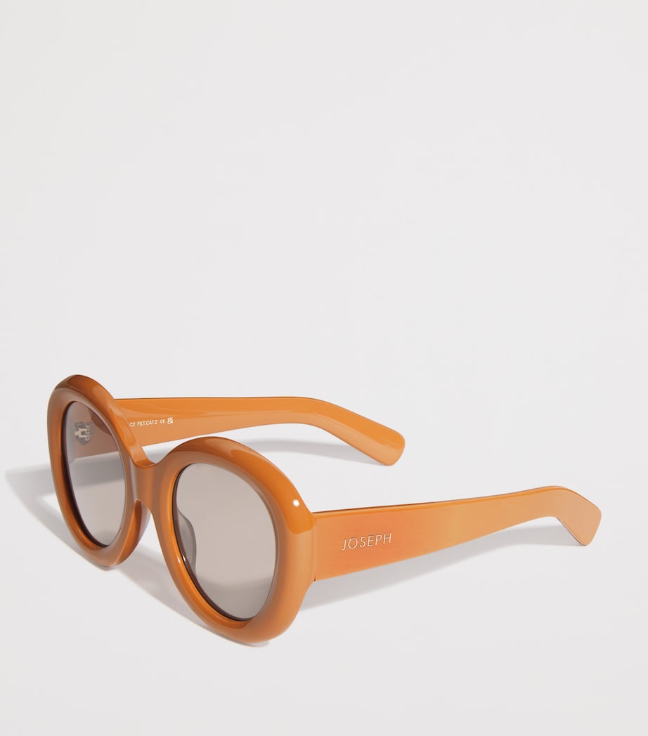 Round Sunglasses DESERT SAND Image 2