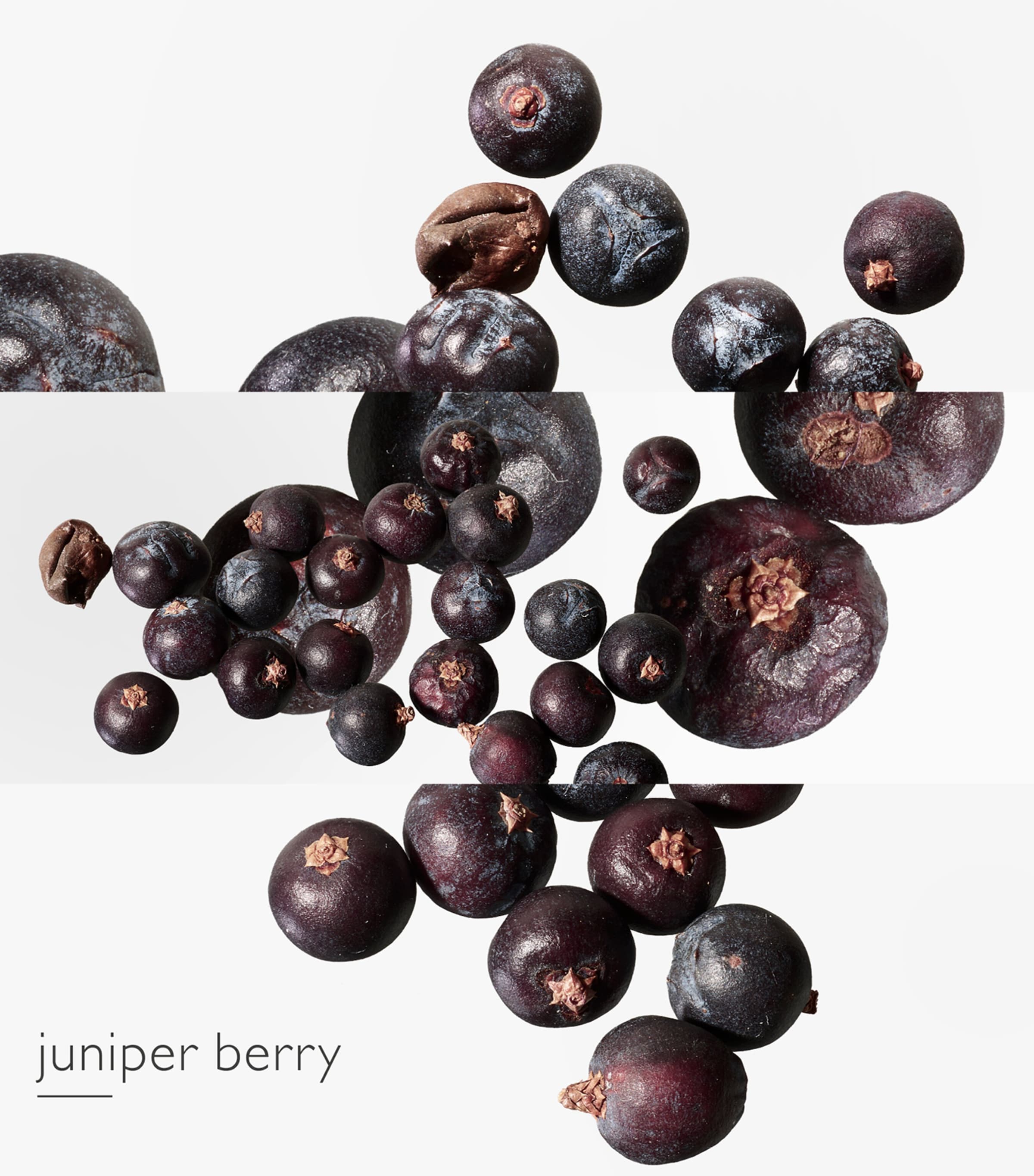 Eau des Merveilles Bleue Eau de Toilette (100ml) NO COLOUR Image 4