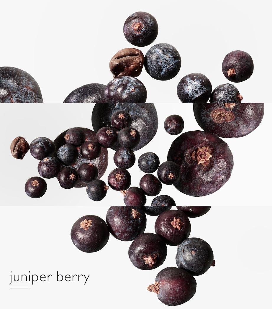 Eau des Merveilles Bleue Eau de Toilette (100ml) NO COLOUR Image 4