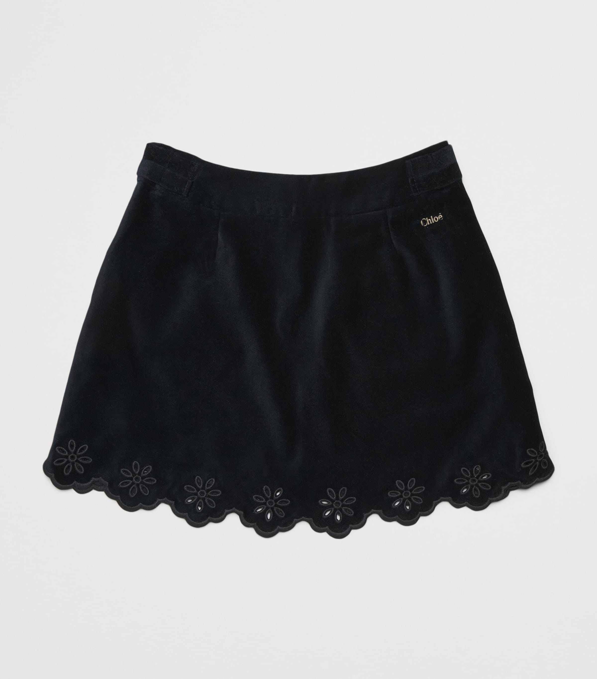 Velvet Embroidered Skirt (4-5 Years) BLUE Image 2