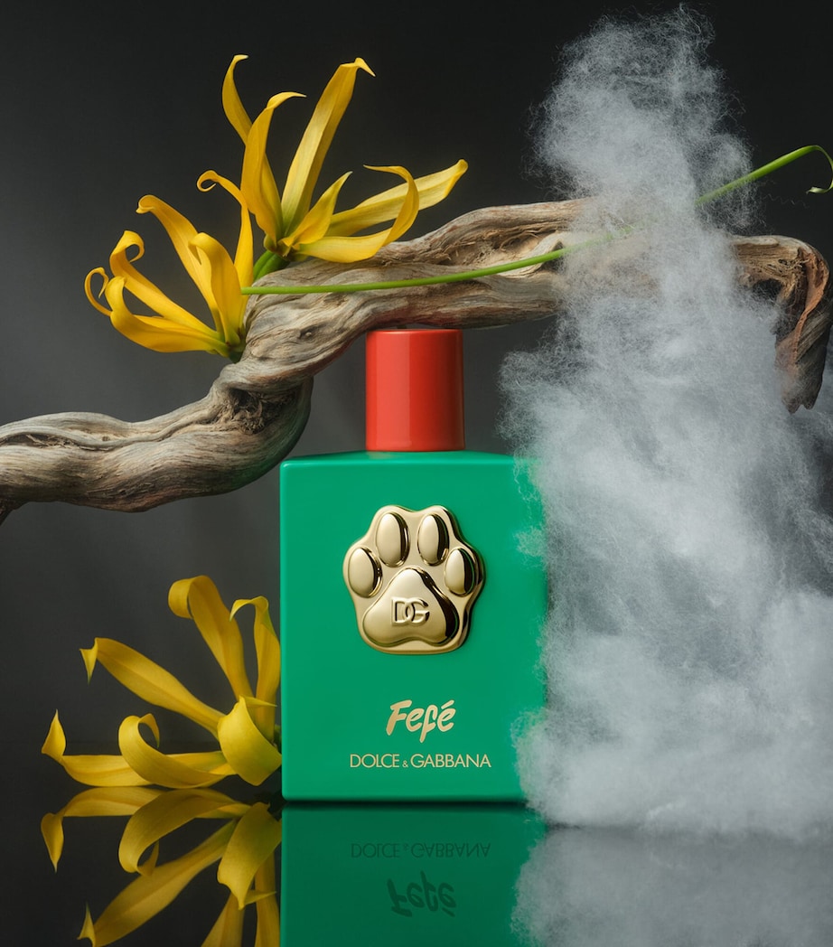 Fefé Dog Fragrance Mist (100ml) NO COLOUR Image 3