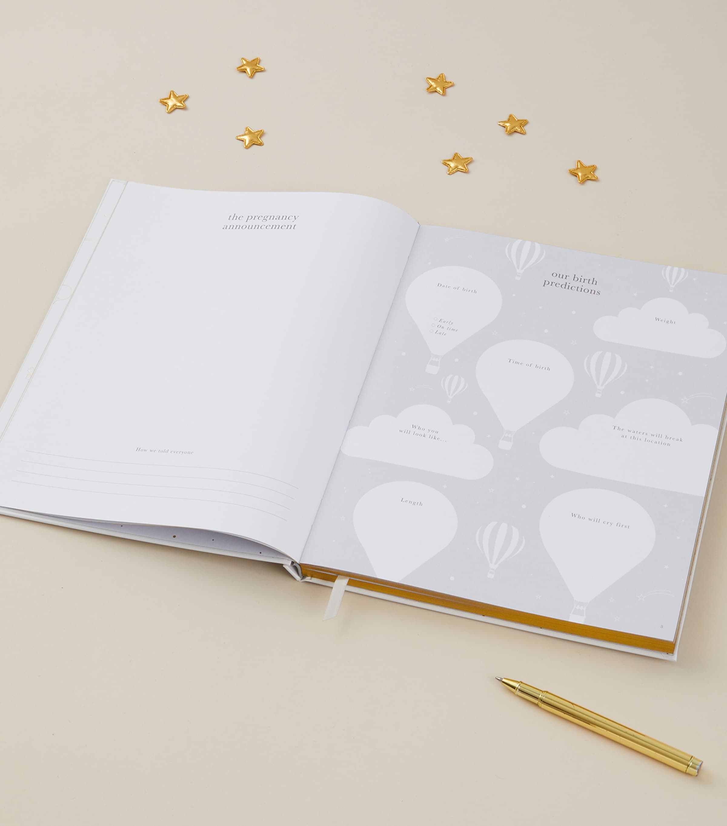 Safari My Pregnancy Journal IVORY/BEIGE, GOLD Image 7