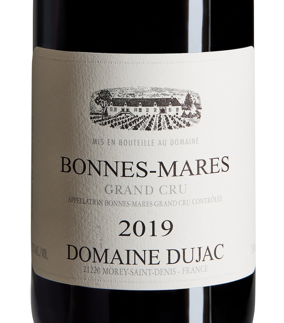 Domaine Dujac Grand Cru Pinot Noir 2019 (75cl) - Burgundy, France Image 2
