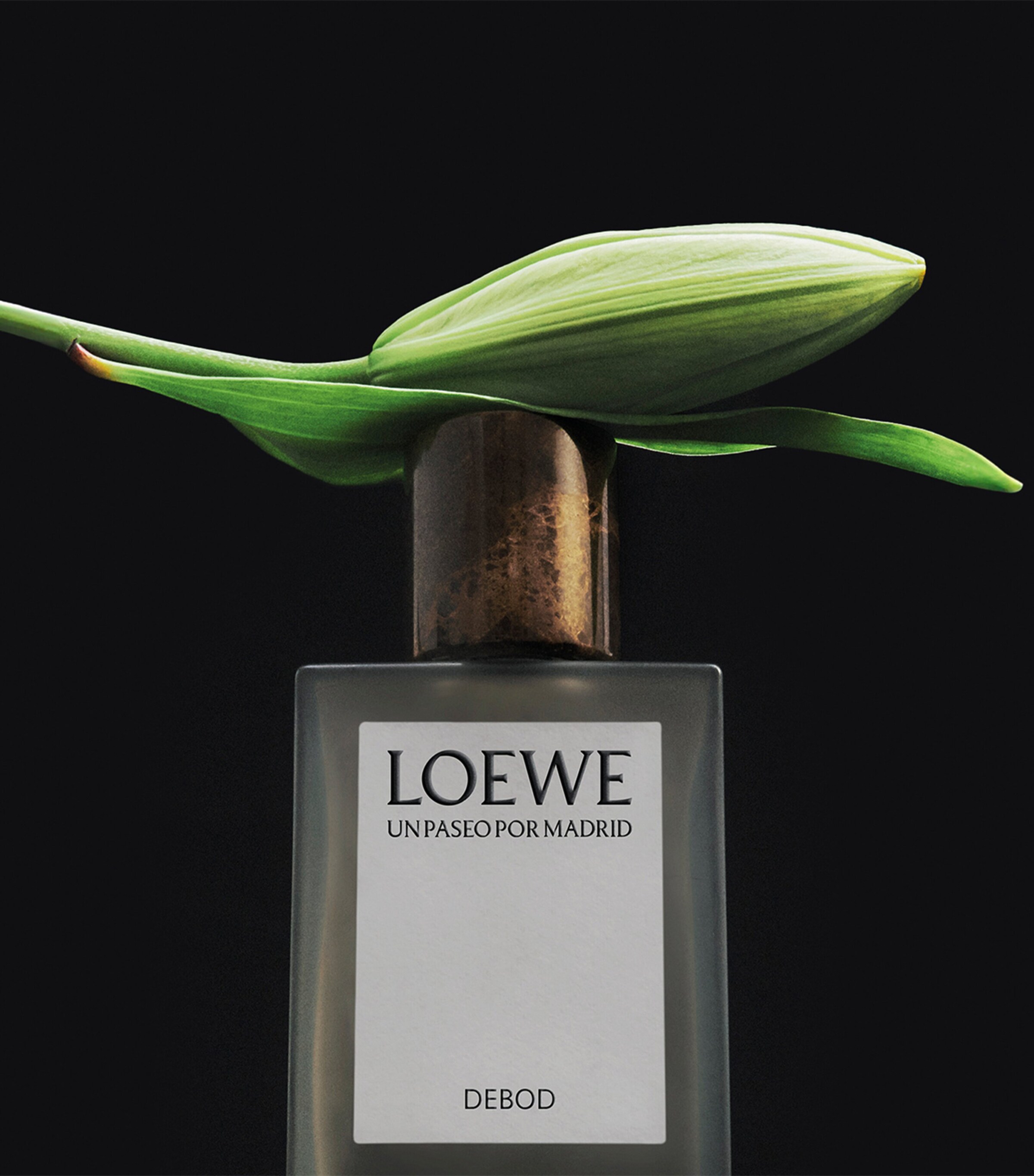 LOEWE Un Paseo Por Madrid Debod Eau de Parfum (100ml