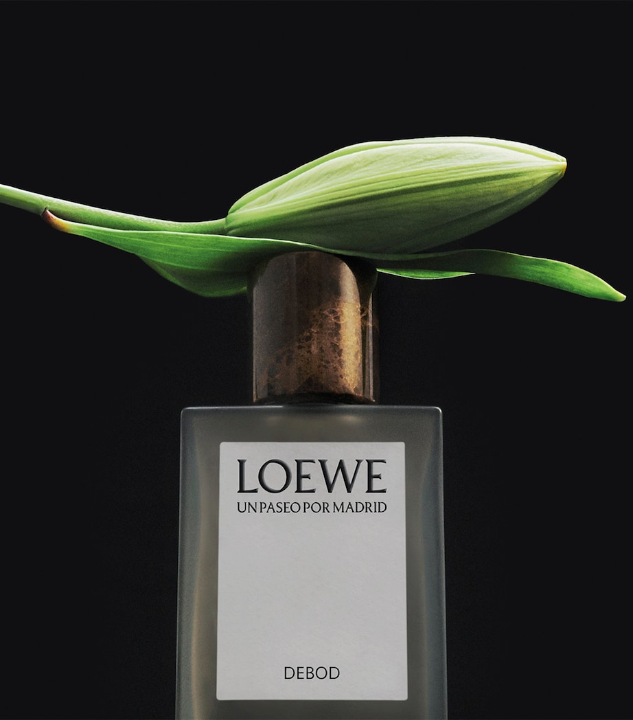 Un Paseo Por Madrid Debod Eau de Parfum (100ml) NO COLOUR Image 4