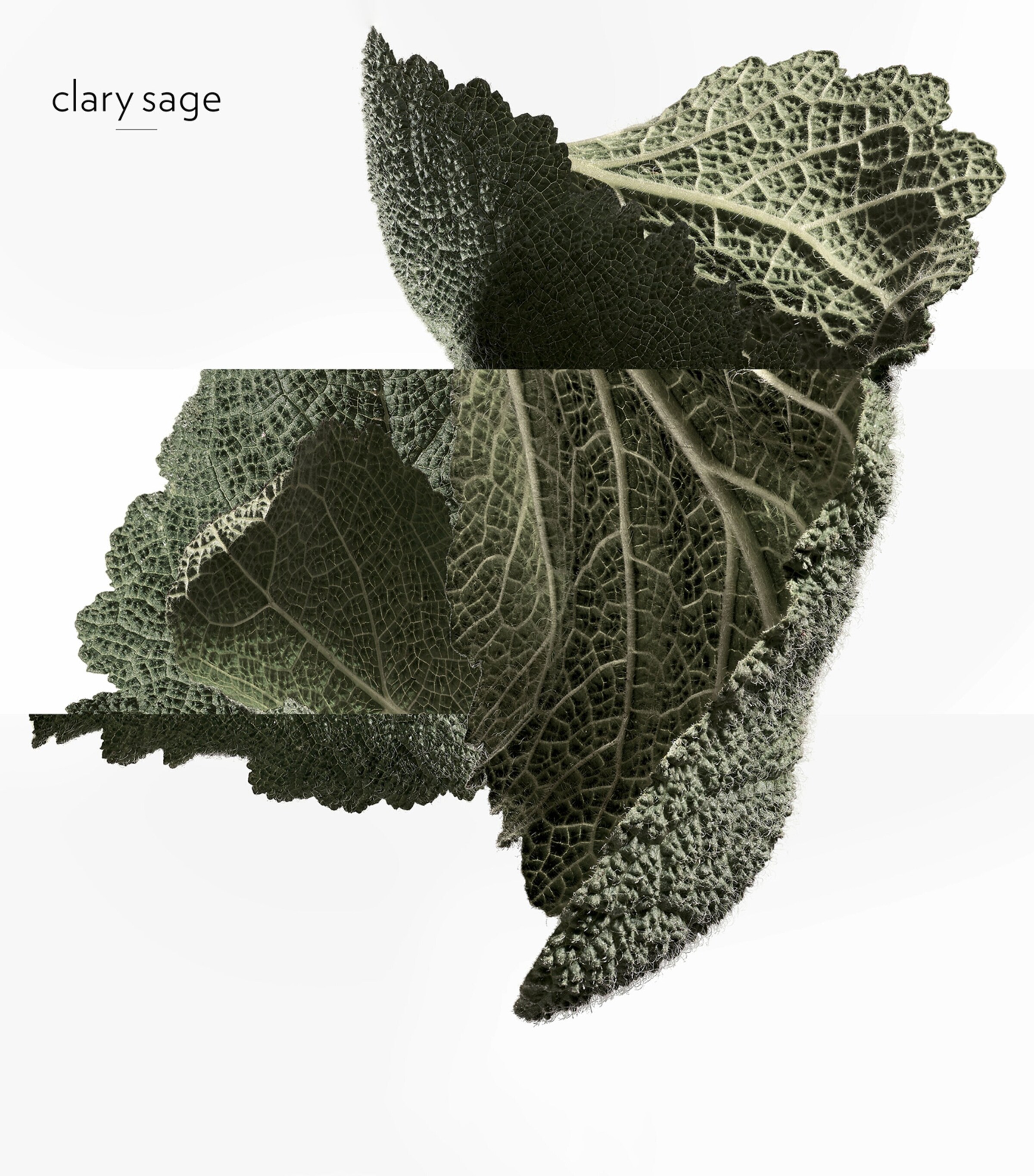 H24 Eau de Parfum (100ml) NO COLOURS Image 5