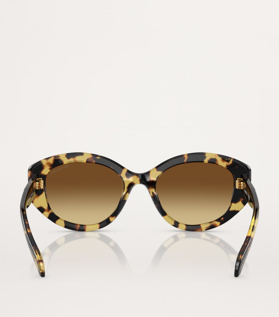 Swarovski Oval SK6005 Sunglasses Image 4