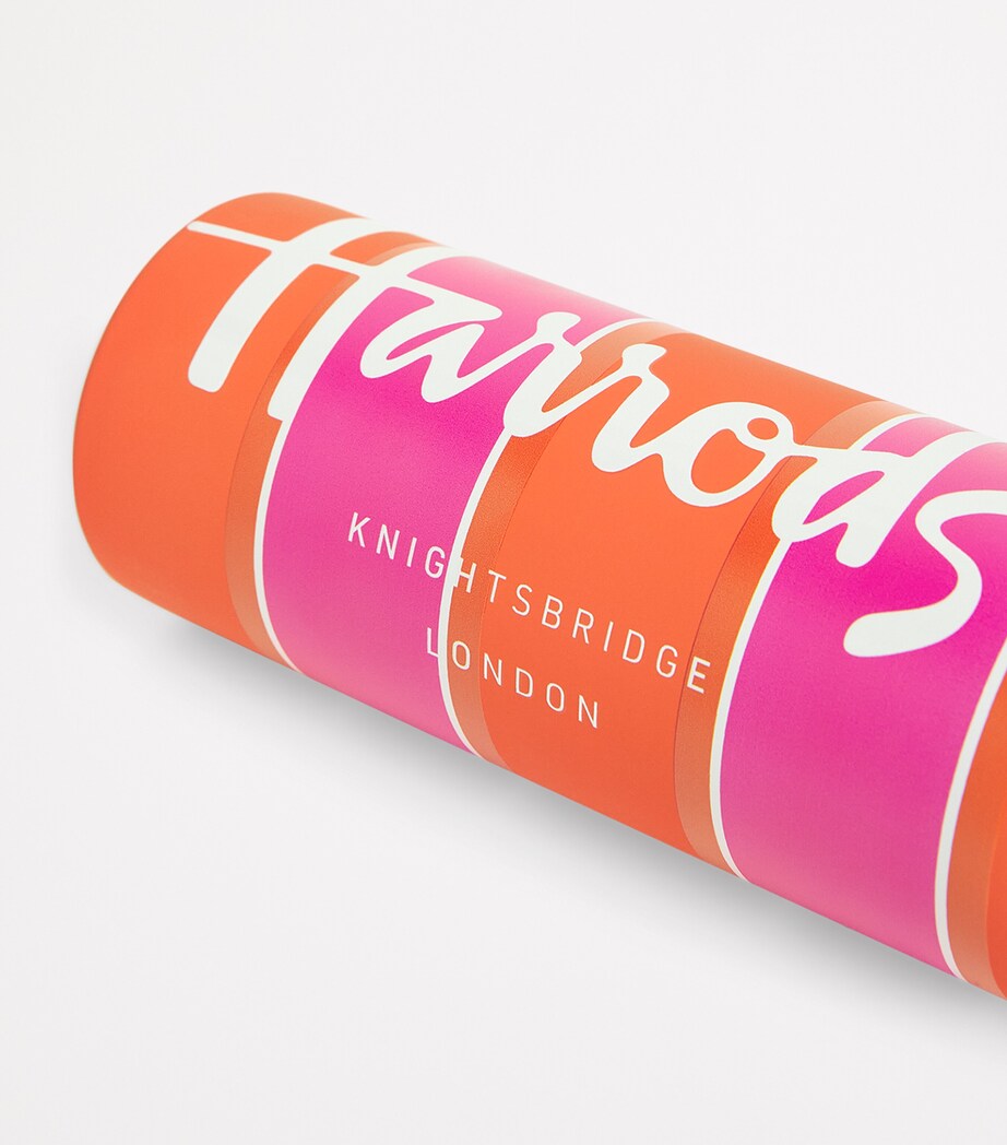 Harrods Logo Striped Water Bottle (450ml) Red Image 3