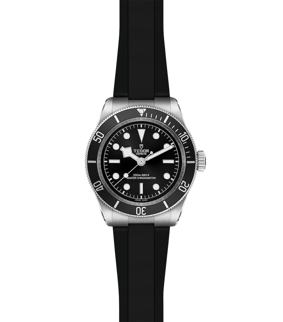 TUDOR Black Bay Stainless Steel Automatic Watch 41mm Black Image 4